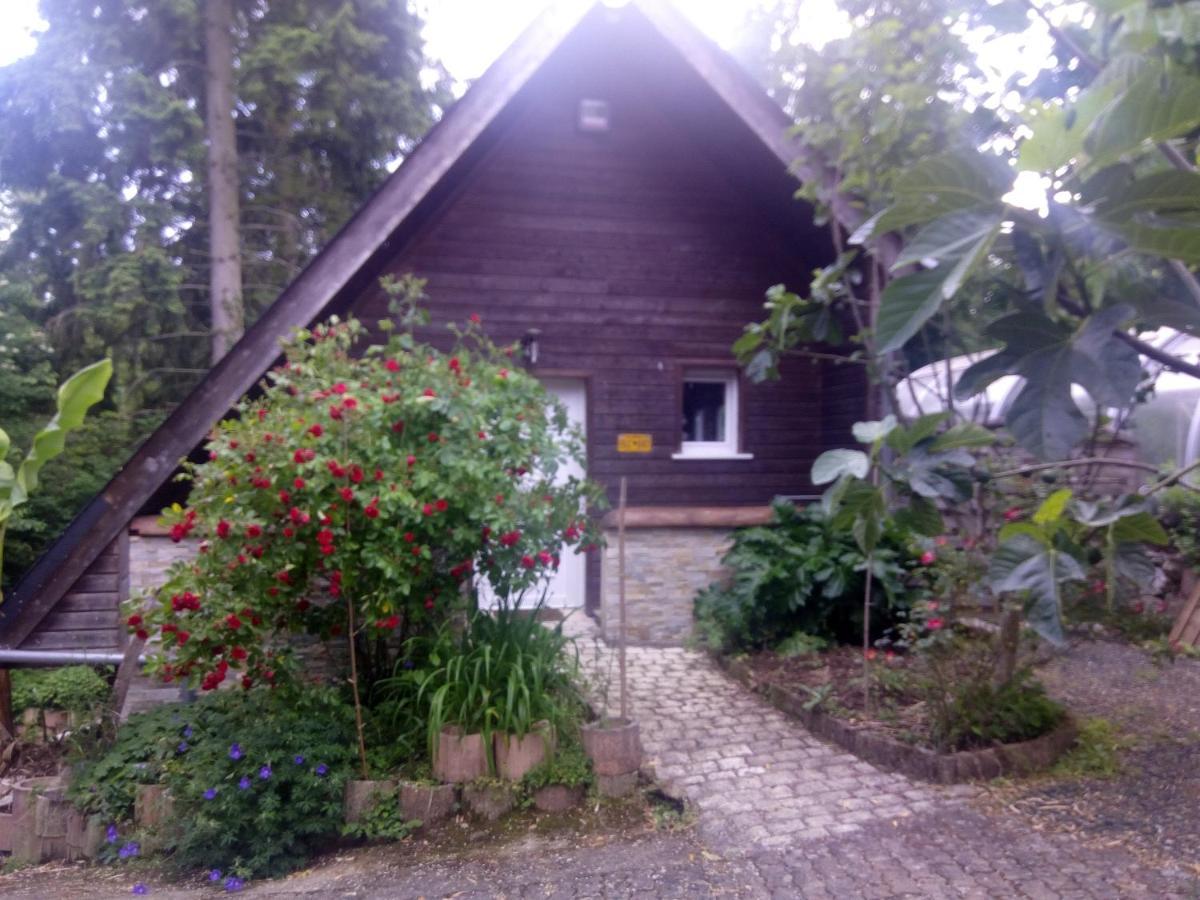 Maison Bois "Alaska" Рошекорбон Экстерьер фото